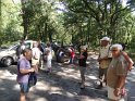 2014-07-03 10-08-32 Rando foret de Nemours DLe